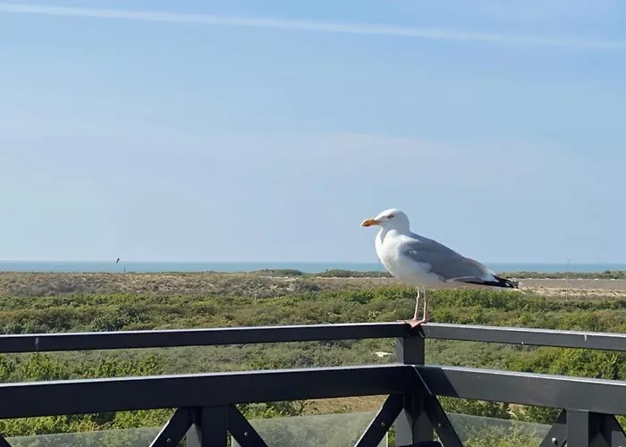 Penthouse Zeezicht - Kabbelaarsbank Ouddorp